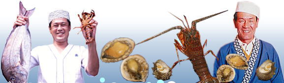 ���̉B��h �u������ / �ɐ� �u�� ���h ����