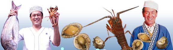 ���̉B��h �u������ / �ɐ� �u�� ���h ����